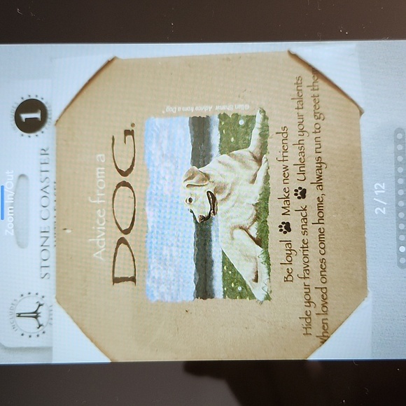 DOG -STONE COASTER with Easel and Nylon Collar - Picture 2 of 14